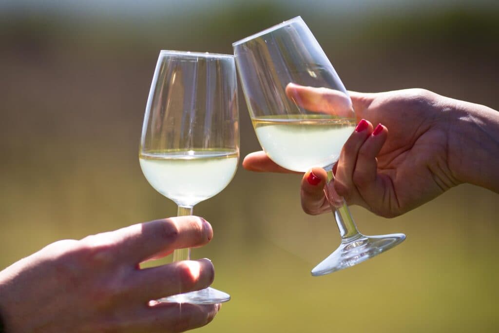 Anstossen mit Gläsern Vermentino bei der Verkostung der Cantina Aru