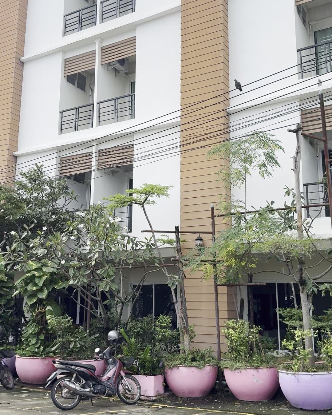 White five-storey hotel building with balconies, plants in pink pots and a parked scooter in front